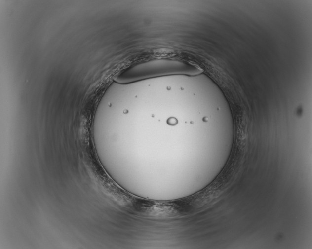 X0000116380270200912161508