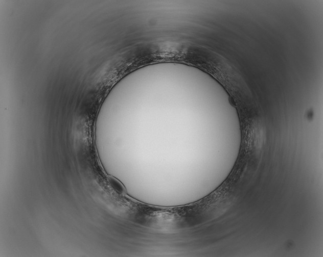 X0000116380272200912161508