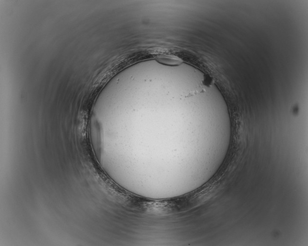 X0000116380273200912161508