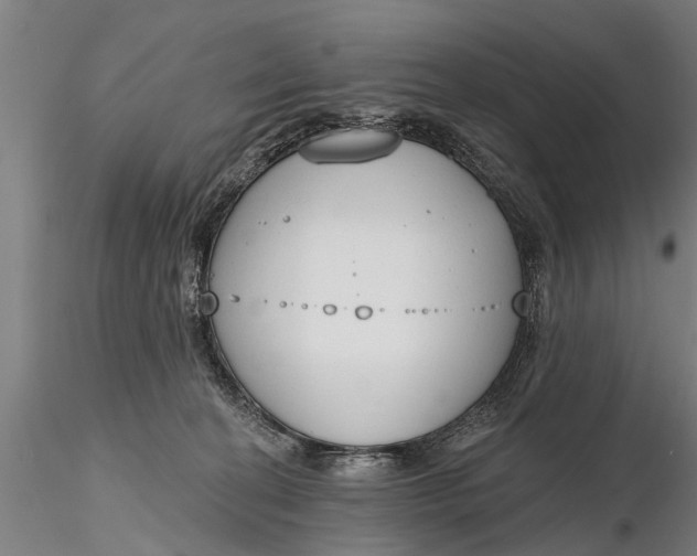 X0000116380274200912161508