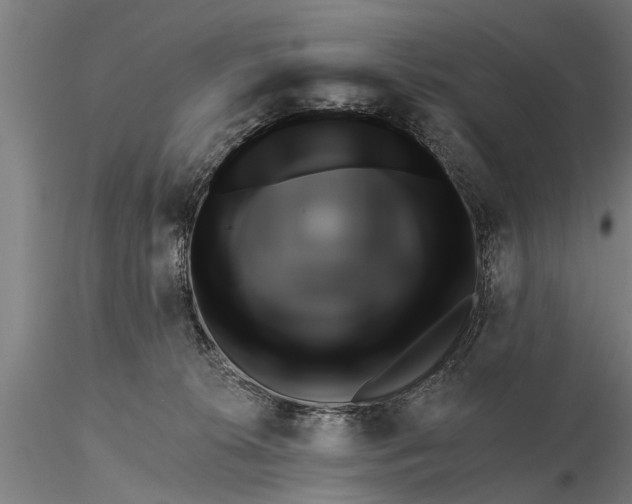 X0000116380276200912161508