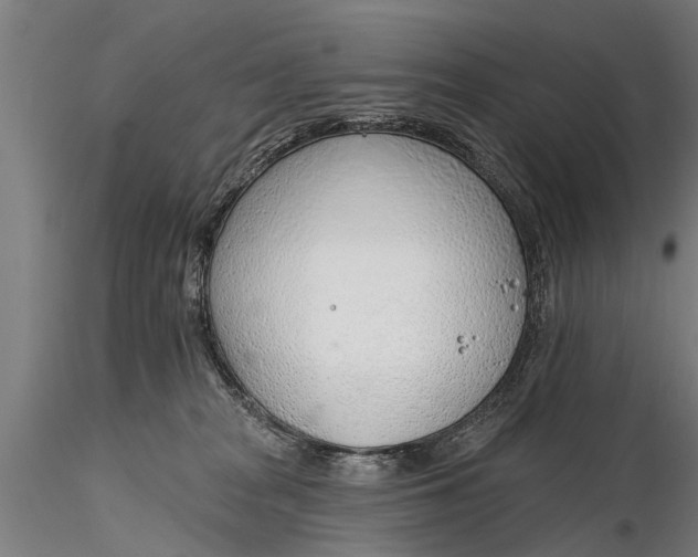 X0000116380277200912161508