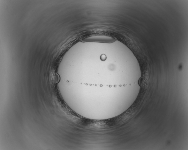 X0000116380278200912161508