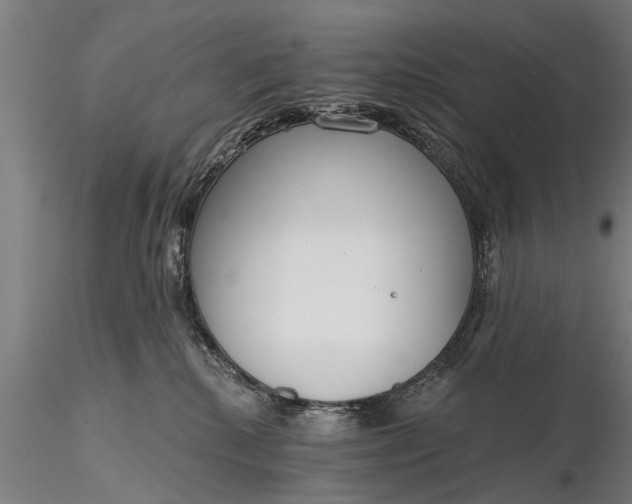 X0000116380280200912161508