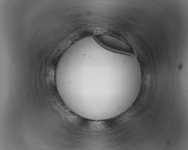 X0000116380281200912161508