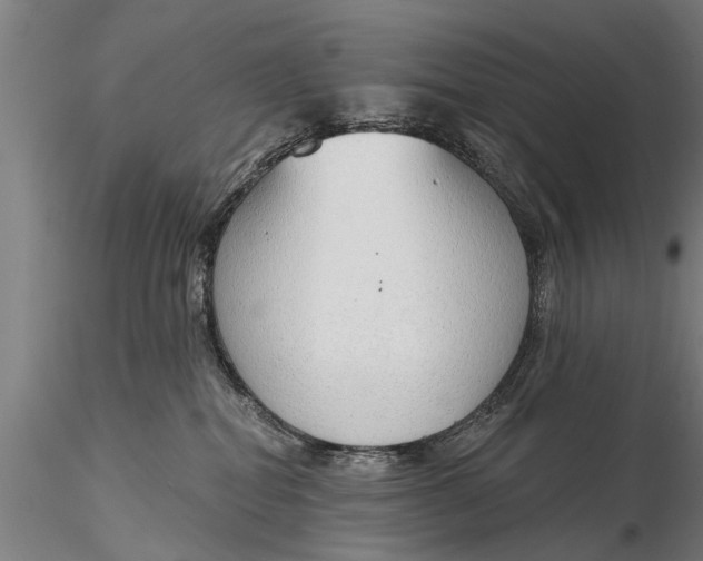X0000116380282200912161508