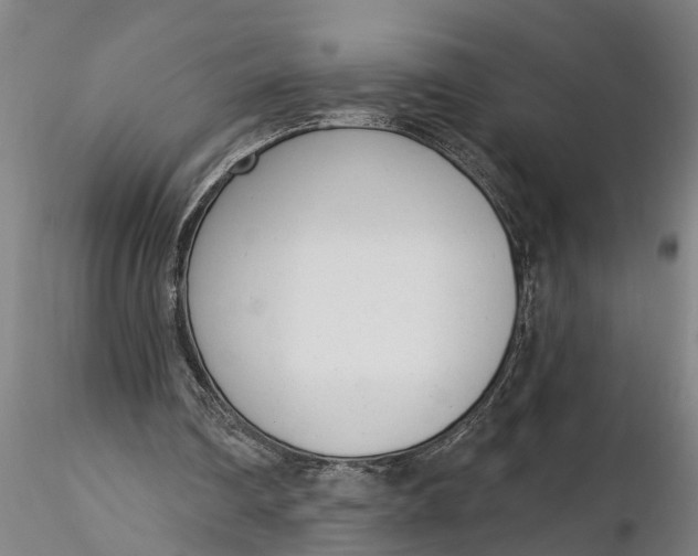 X0000116380290200912161507