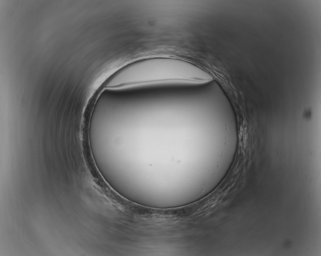 X0000116380292200912161507