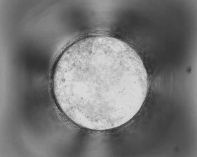 X0000116380293200912161507