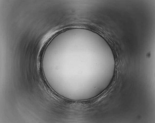 X0000116380294200912161507