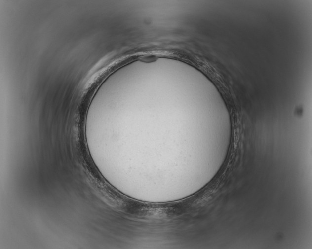 X0000116380295200912161507
