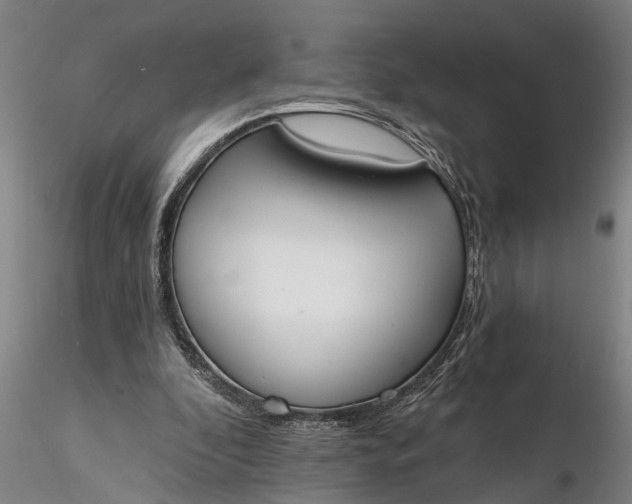 X0000116380296200912161507
