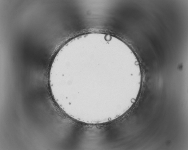 X0000116380297200912161507