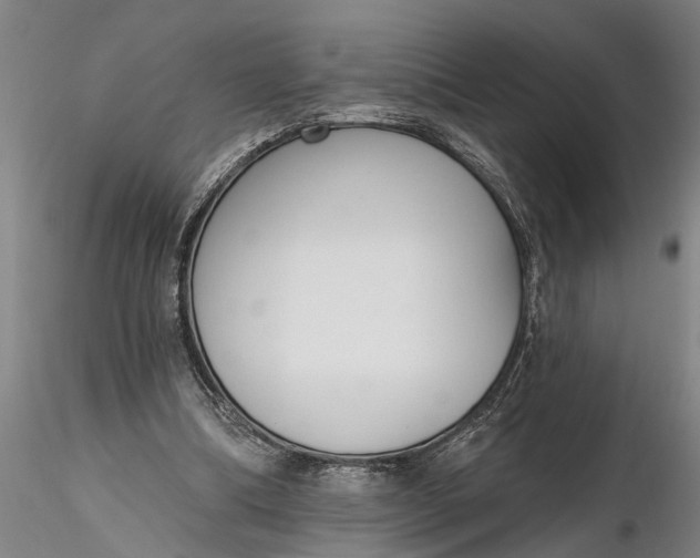 X0000116380298200912161507