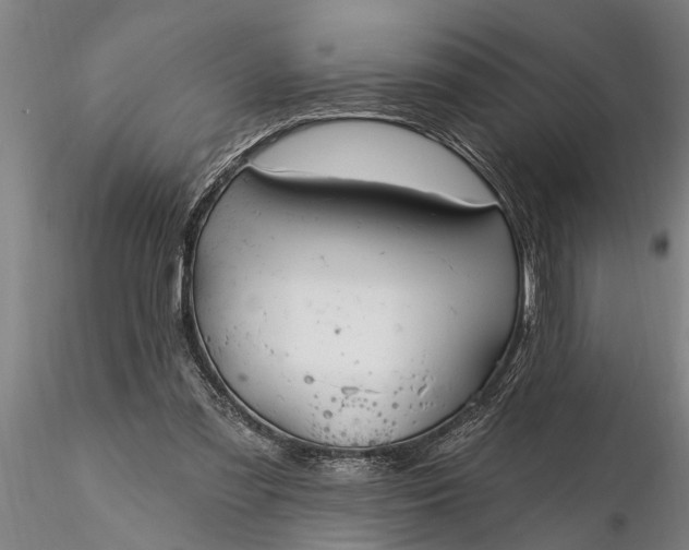 X0000116380301200912161507
