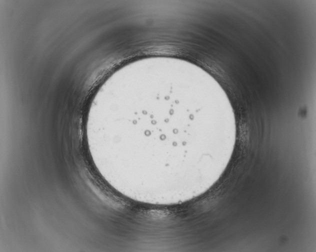 X0000116380302200912161507
