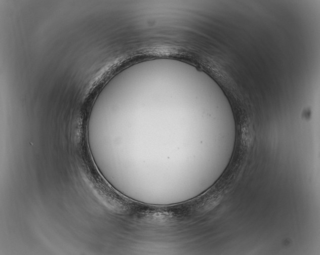 X0000116380304200912161507