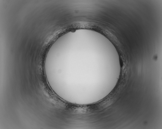 X0000116380306200912161507