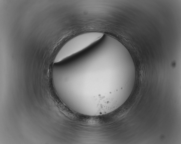 X0000116380308200912161507