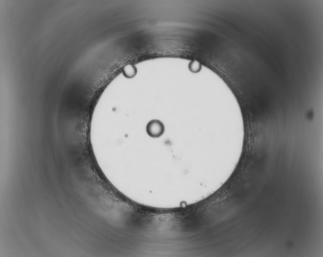X0000116380309200912161507