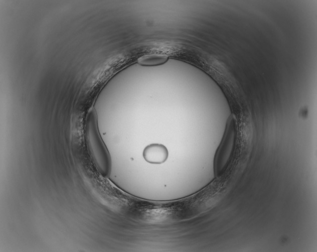 X0000116380312200912161507