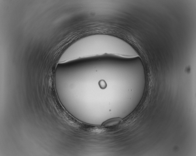 X0000116380313200912161507