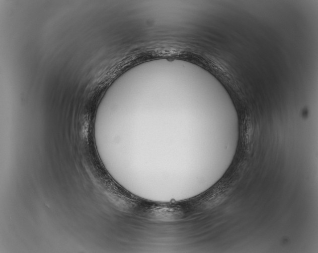X0000116380315200912161507