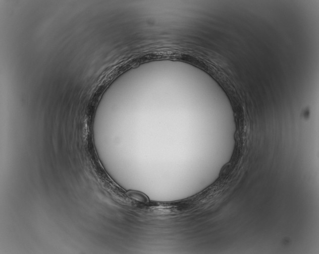 X0000116380320200912161507