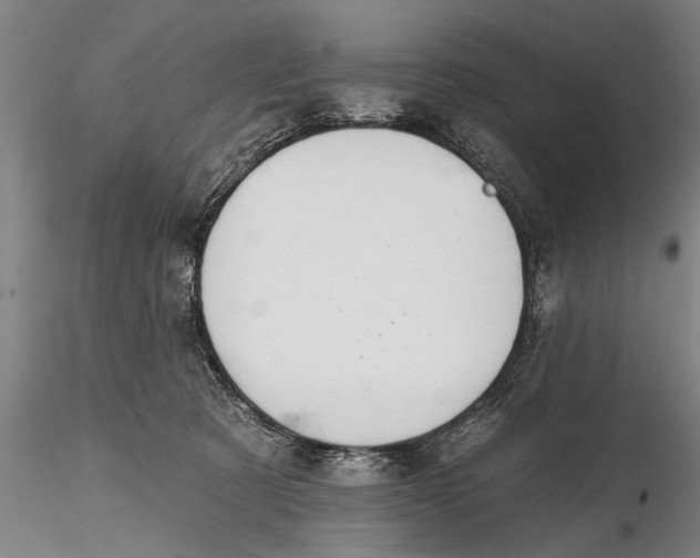 X0000116380321200912161507