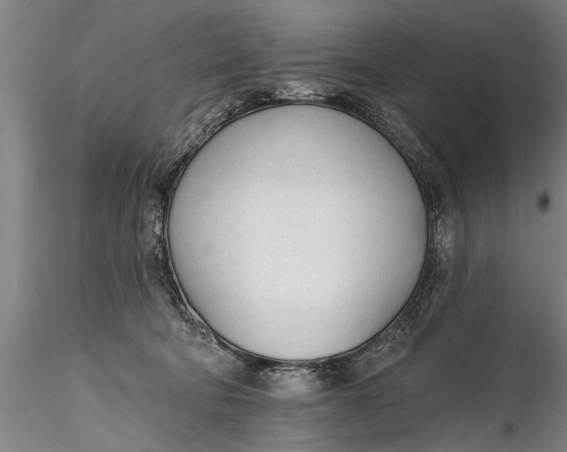 X0000116380322200912161507