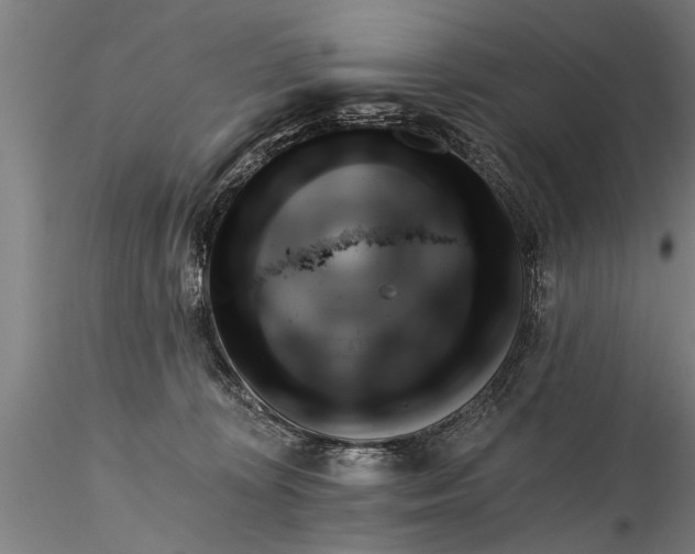 X0000116380324200912161507
