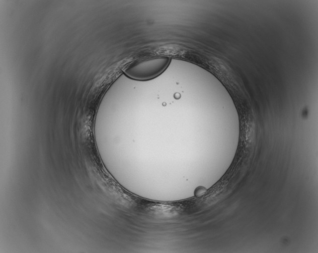 X0000116380326200912161507