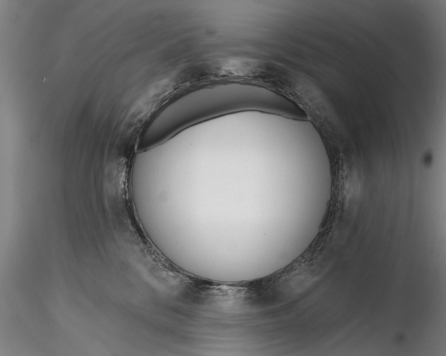 X0000116380328200912161507
