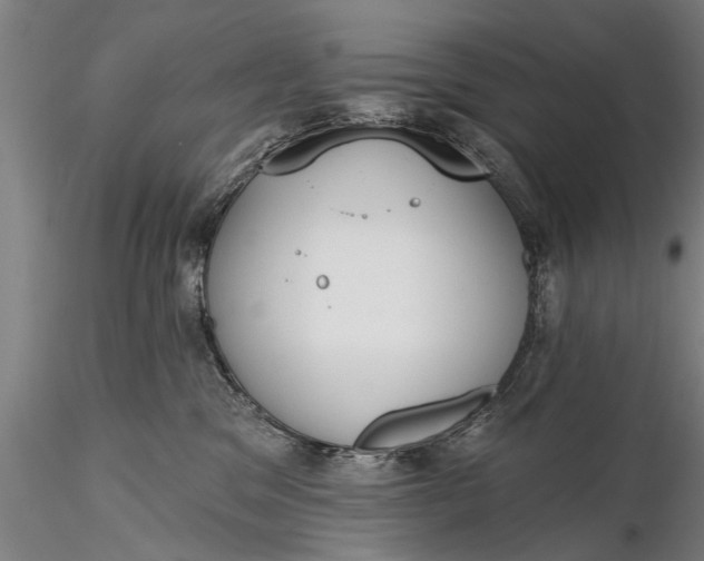 X0000116380329200912161507
