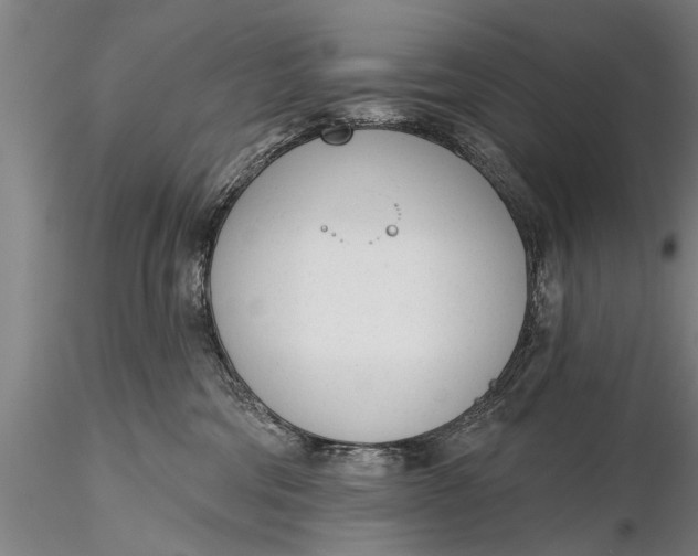 X0000116380330200912161507