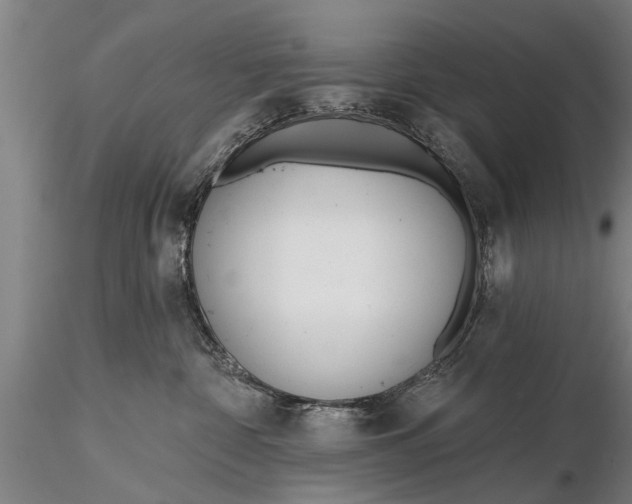 X0000116380332200912161507