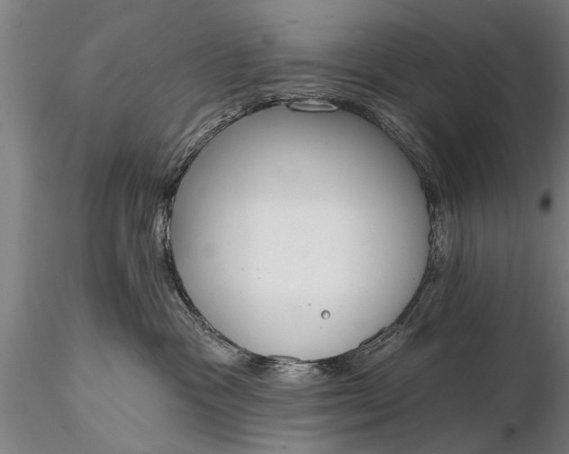 X0000116380333200912161507