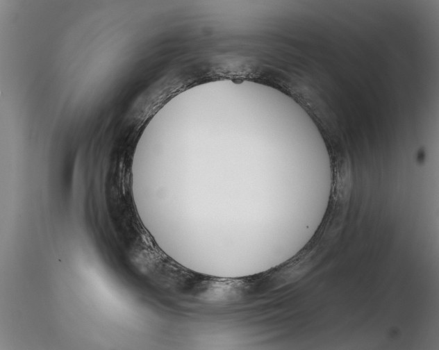X0000116380334200912161507
