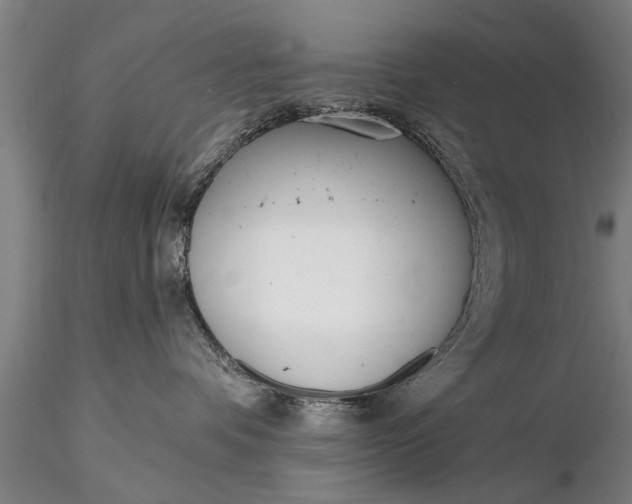 X0000116380336200912161507