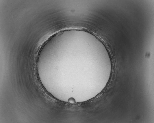 X0000116380337200912161506