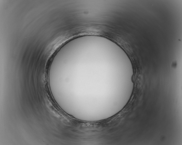 X0000116380338200912161506