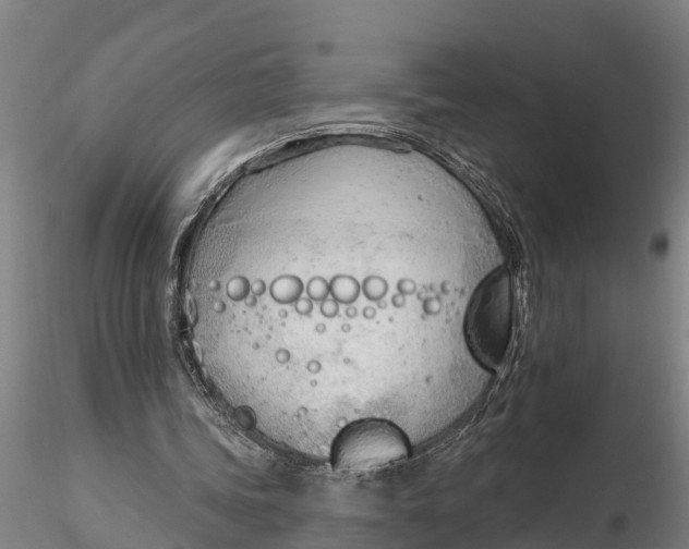 X0000116380339200912161506