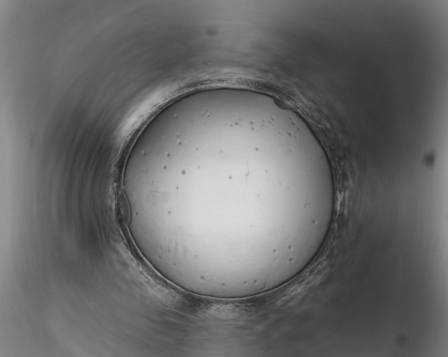 X0000116380341200912161506