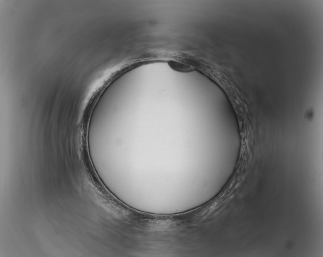 X0000116380342200912161506