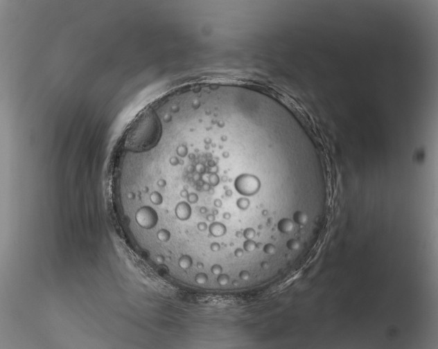 X0000116380343200912161506