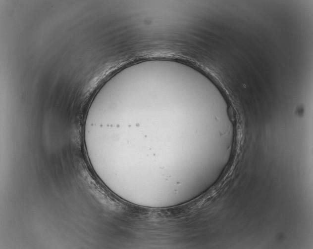 X0000116380345200912161506