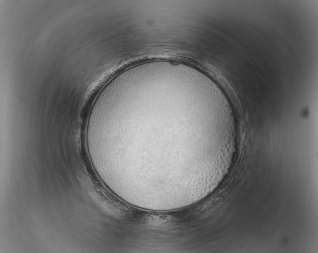 X0000116380346200912161506