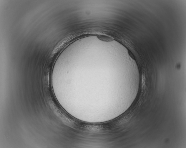 X0000116380349200912161506