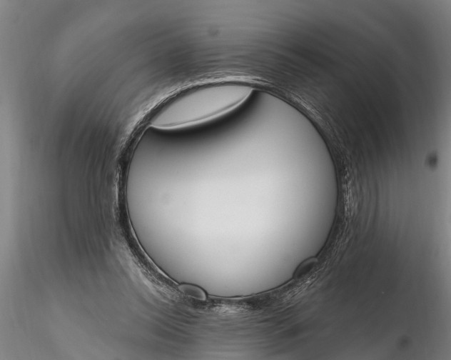 X0000116380350200912161506