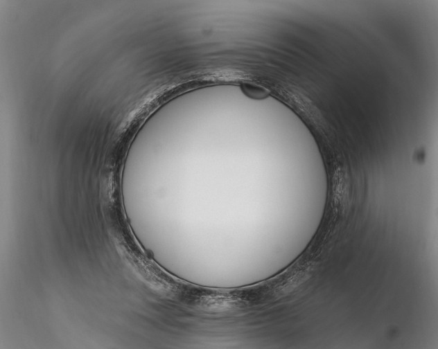 X0000116380351200912161506
